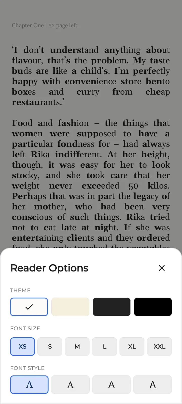 Reader options sheet with theme, font size and font style controls